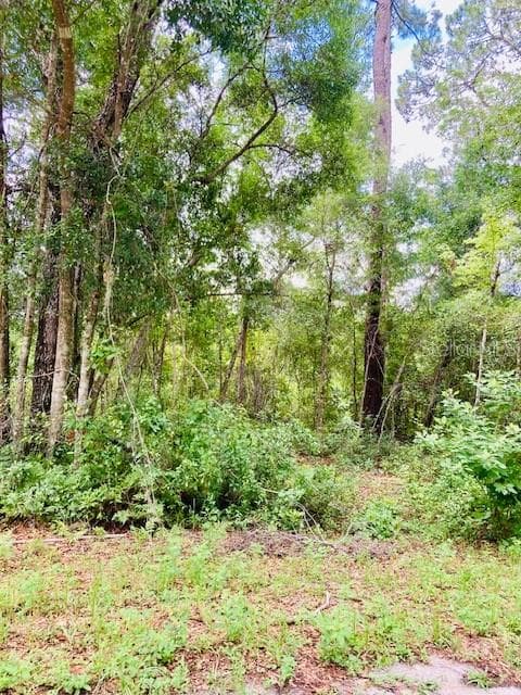 407 RAULERSON ROAD — photo 4 of 7