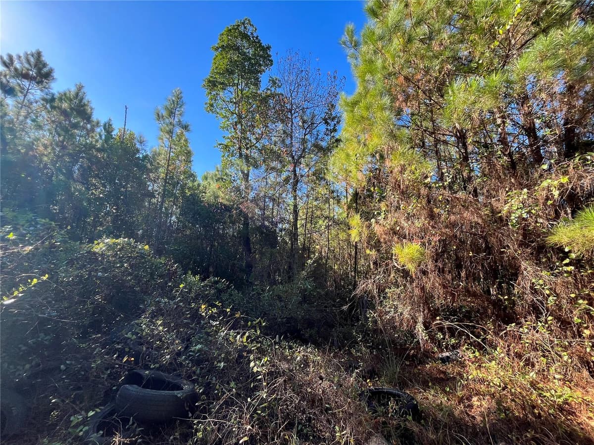 223 MOURNING DOVE ROAD — photo 1 of 7