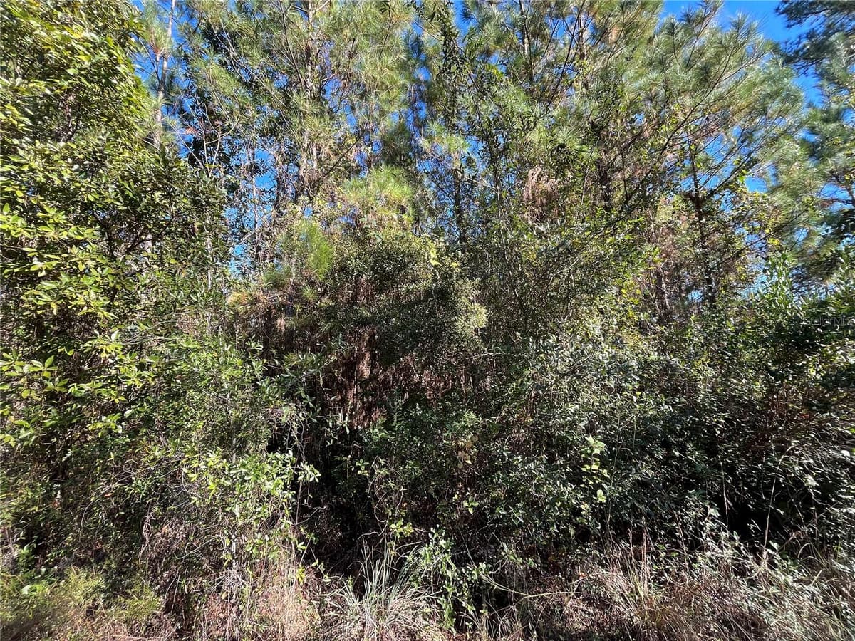 223 MOURNING DOVE ROAD — photo 3 of 7