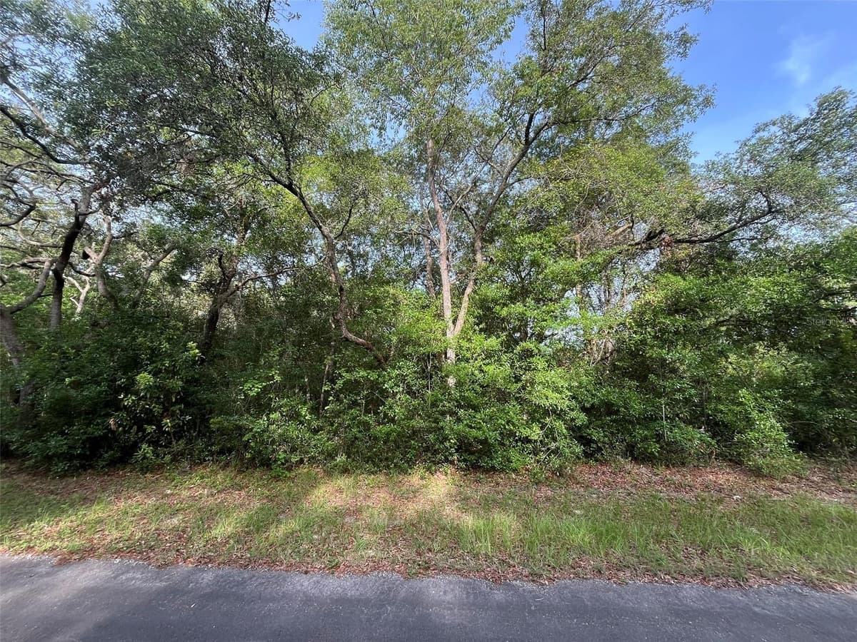 6634 PAGODA TREE TERRACE — photo 1 of 9