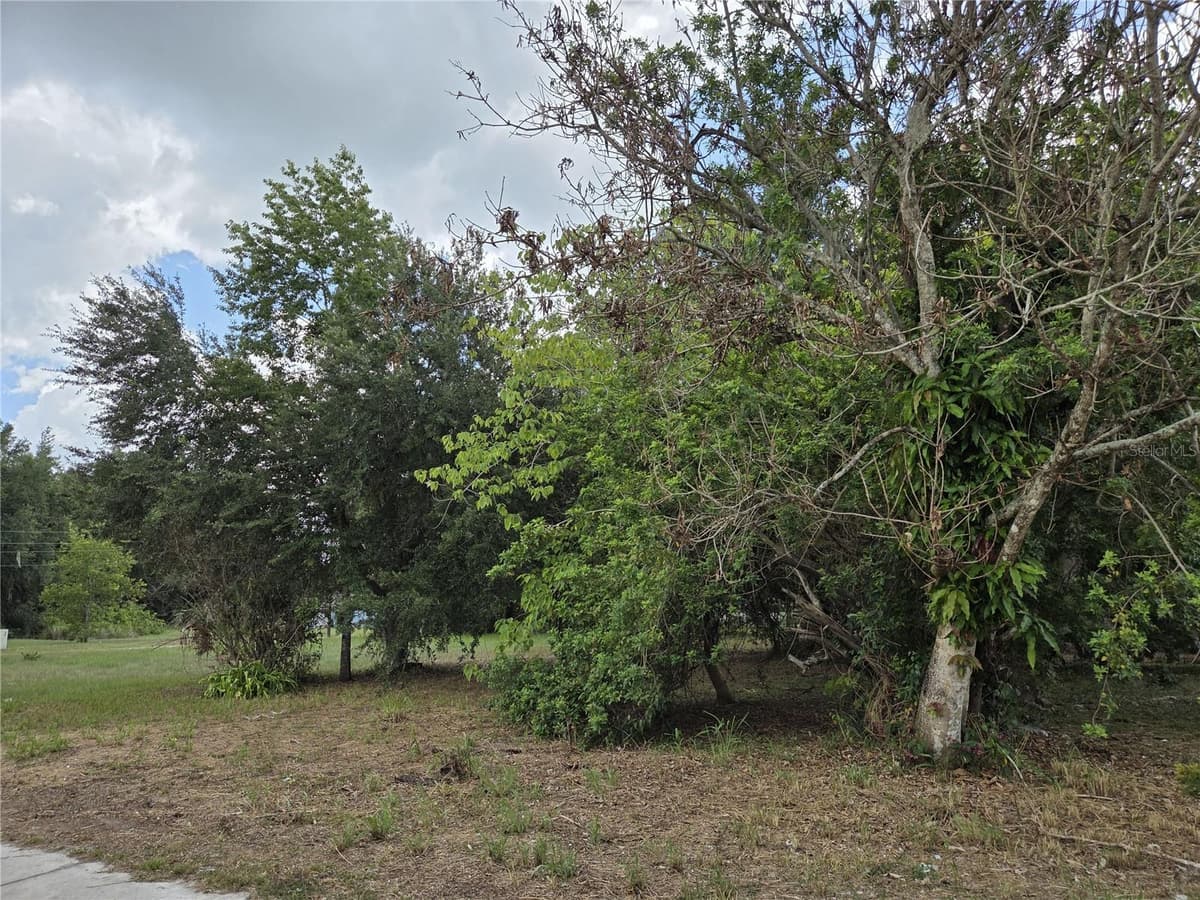505 S LANIER AVE — photo 3 of 7