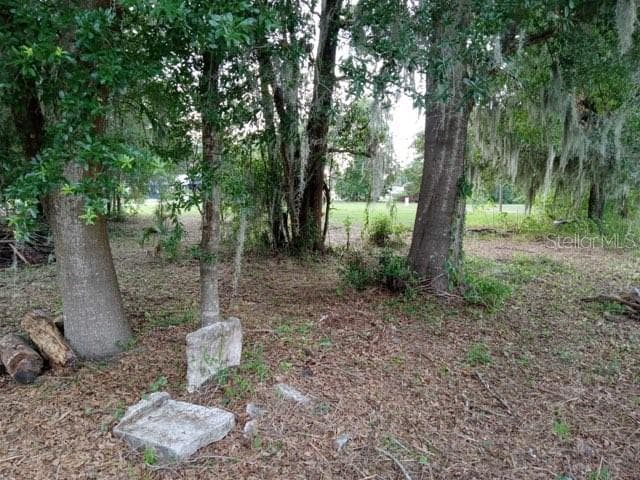 505 S LANIER AVE — photo 6 of 7