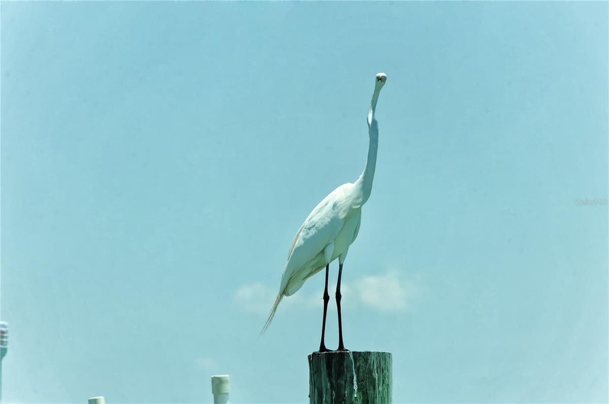 6040 BOCA GRANDE CAUSEWAY — photo 4 of 5
