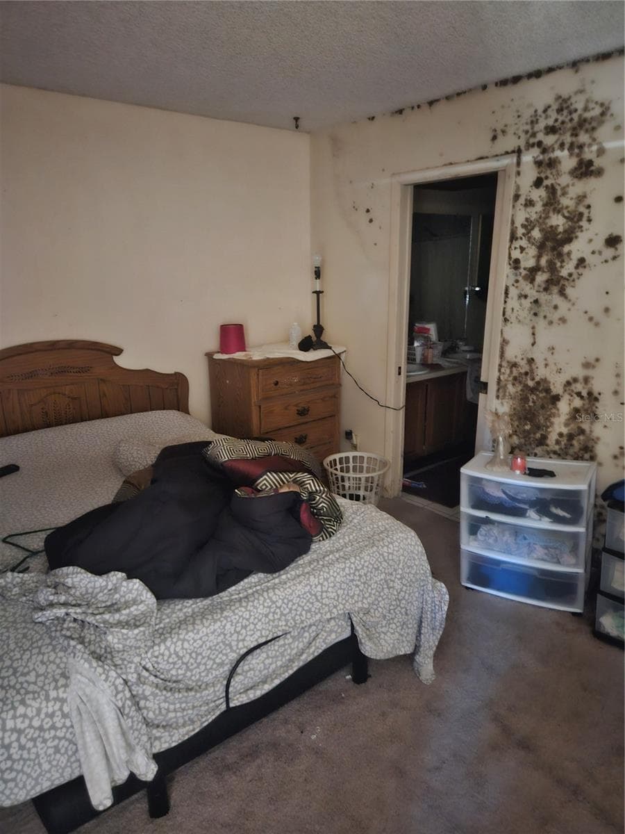 4909 PURITAN CIRCLE — photo 5 of 5