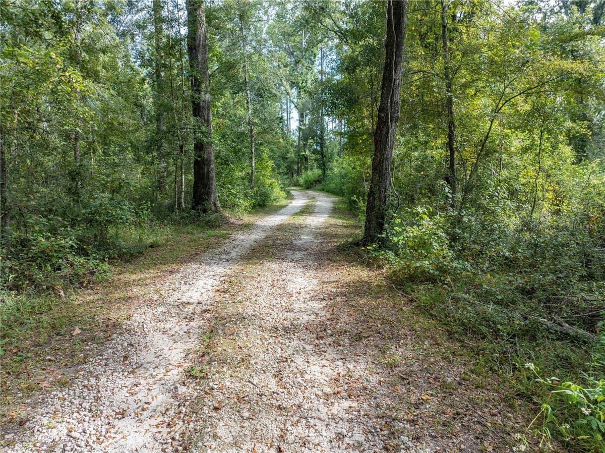 22205 COUNTY ROAD 349 — photo 49 of 68