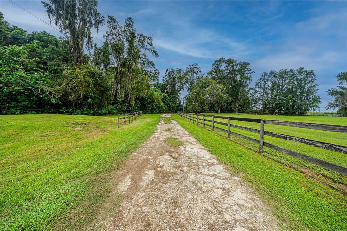 12615 GAINESVILLE ROAD — photo 69 of 93
