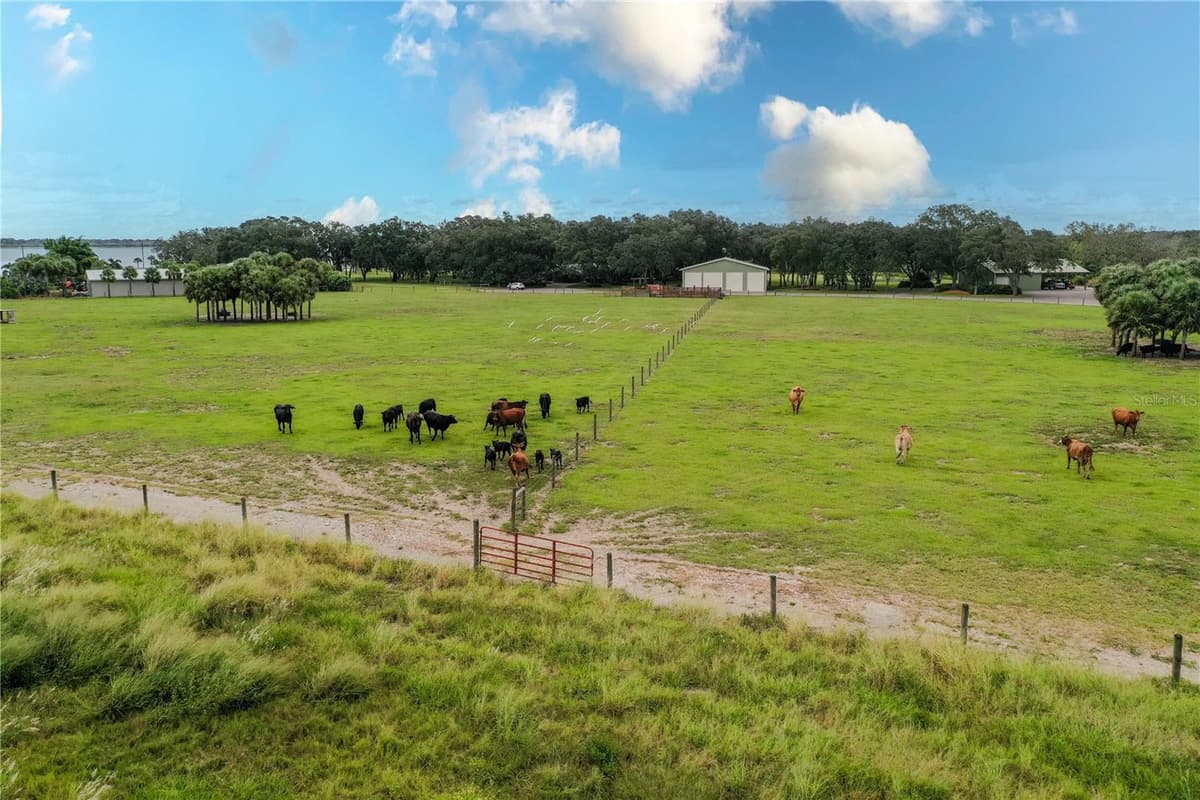 8010 LAKE LOWERY ROAD — photo 69 of 75