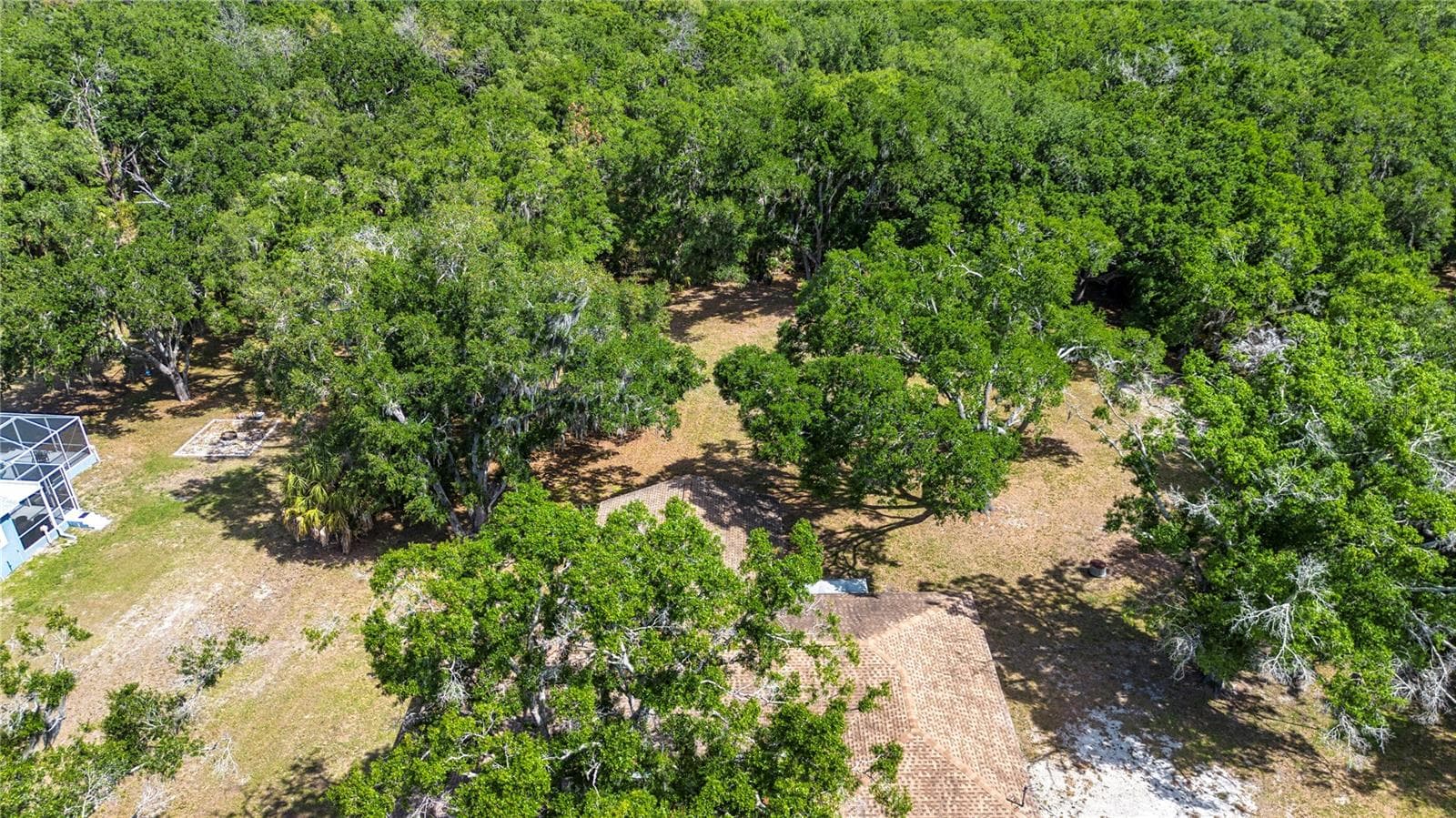 2205 BUTCH CASSIDY TRAIL — photo 9 of 51