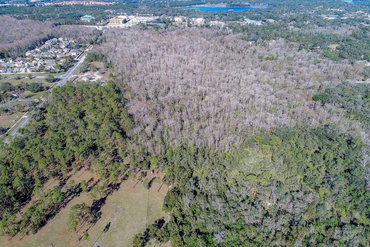 400 LONGWOOD LAKE MARY ROAD — photo 8 of 19