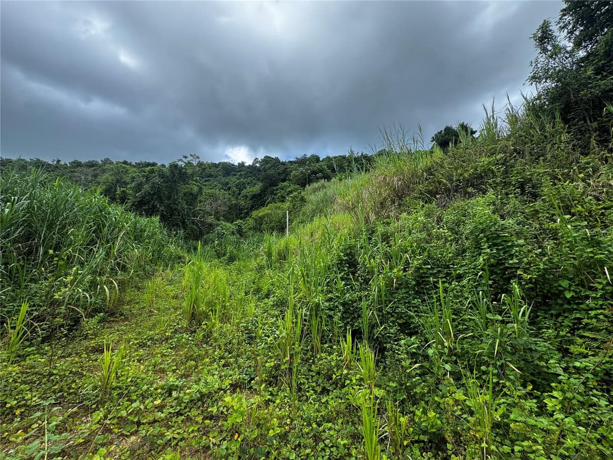 CARR 181 BO MASA KM 13 HM 2 — photo 7 of 15