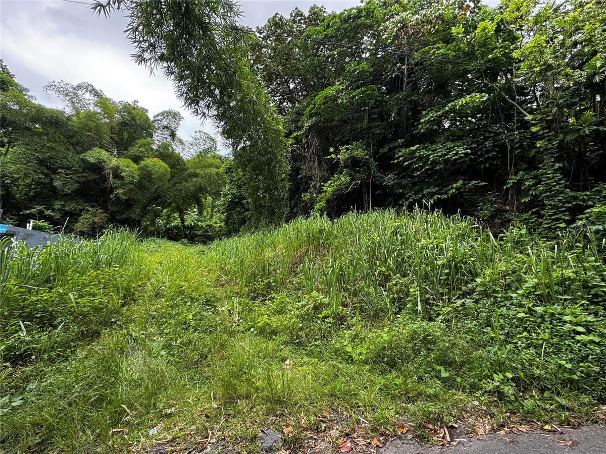 CARR 181 BO MASA KM 13 HM 2 — photo 10 of 15