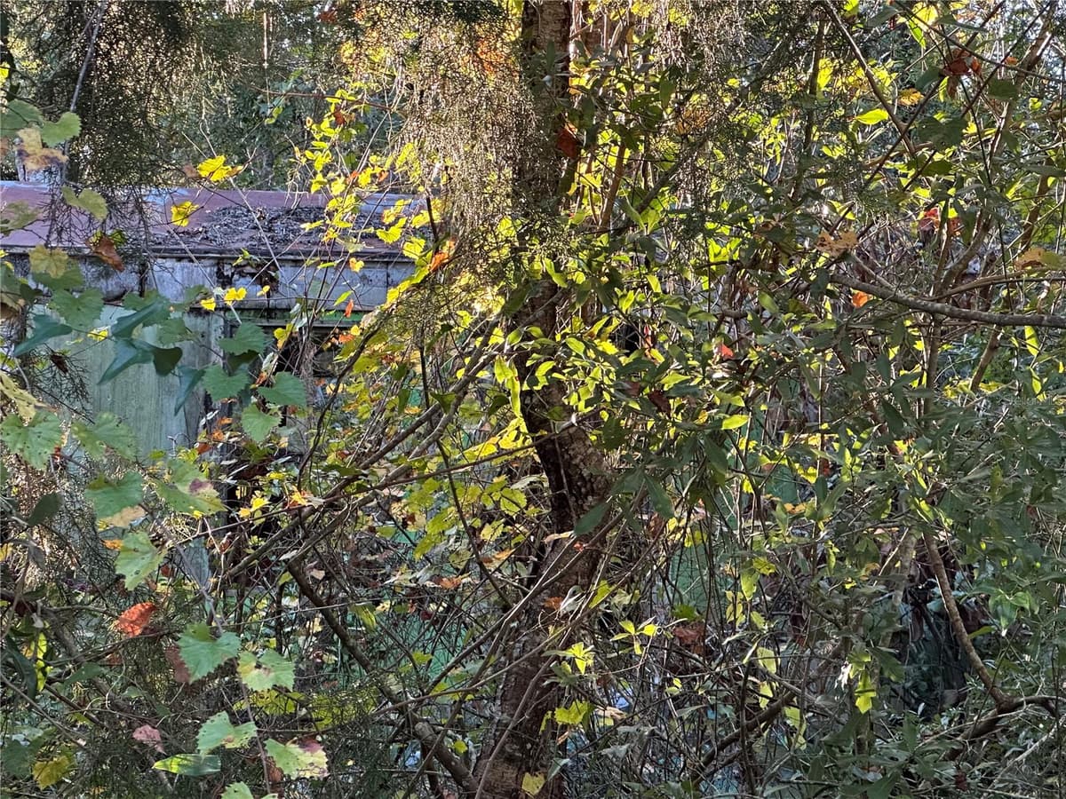 150 926TH STREET — photo 3 of 3