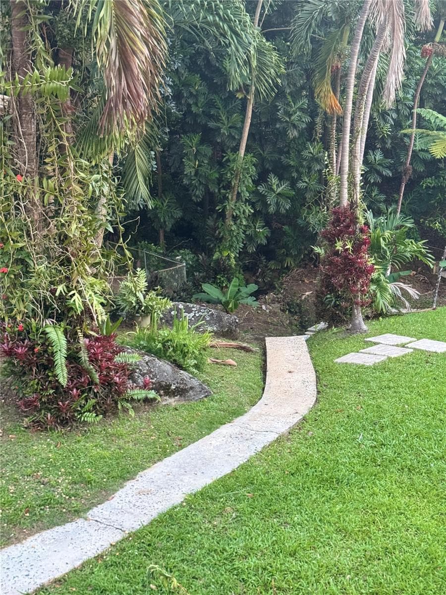17 G23 COLINAS DEL YUNQUE — photo 12 of 17