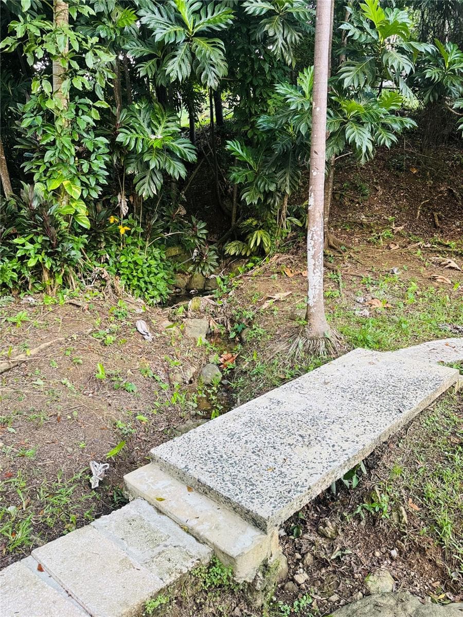 17 G23 COLINAS DEL YUNQUE — photo 11 of 17