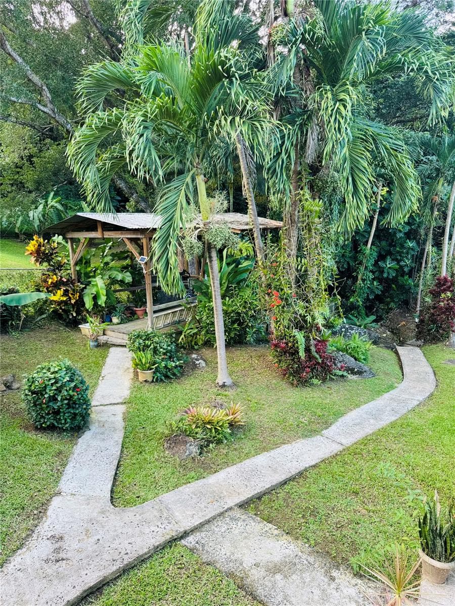 17 G23 COLINAS DEL YUNQUE — photo 8 of 17