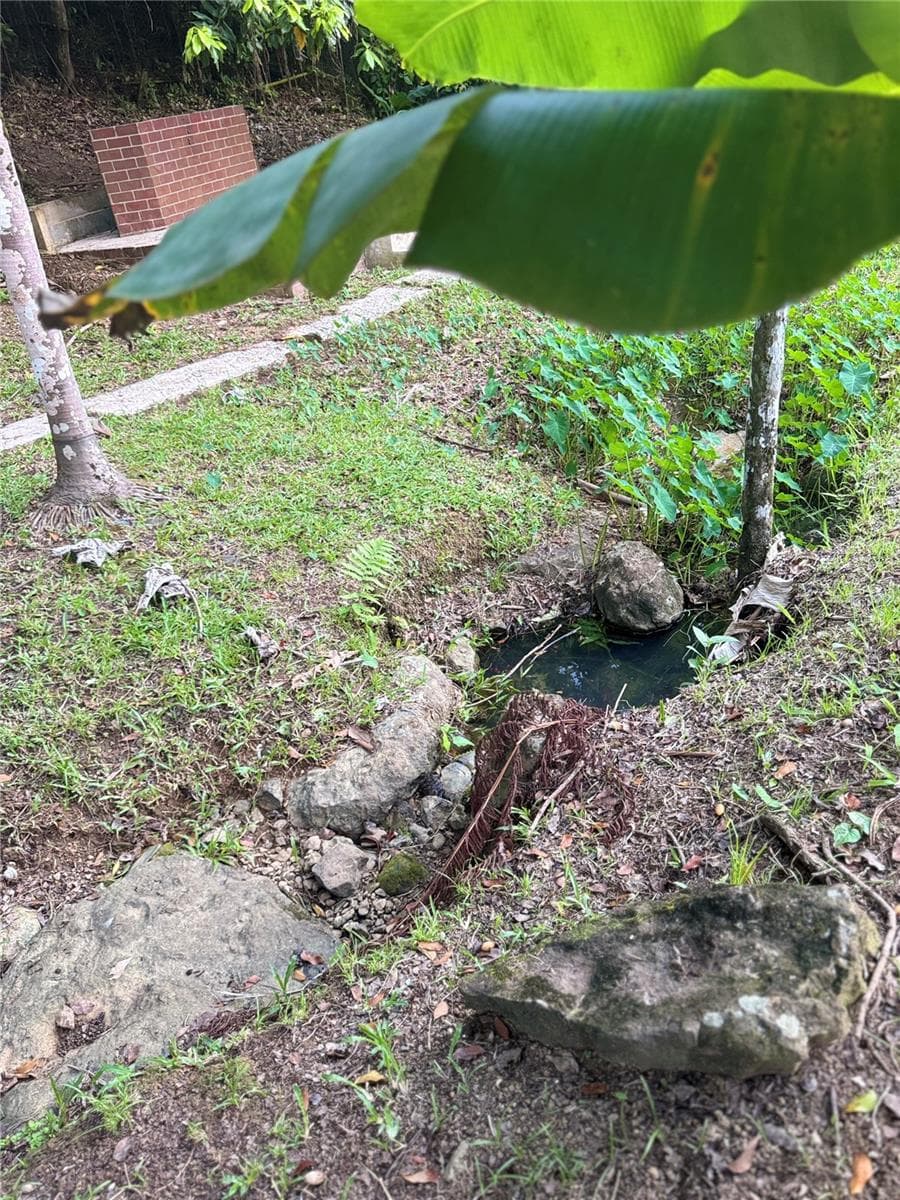 17 G23 COLINAS DEL YUNQUE — photo 15 of 17