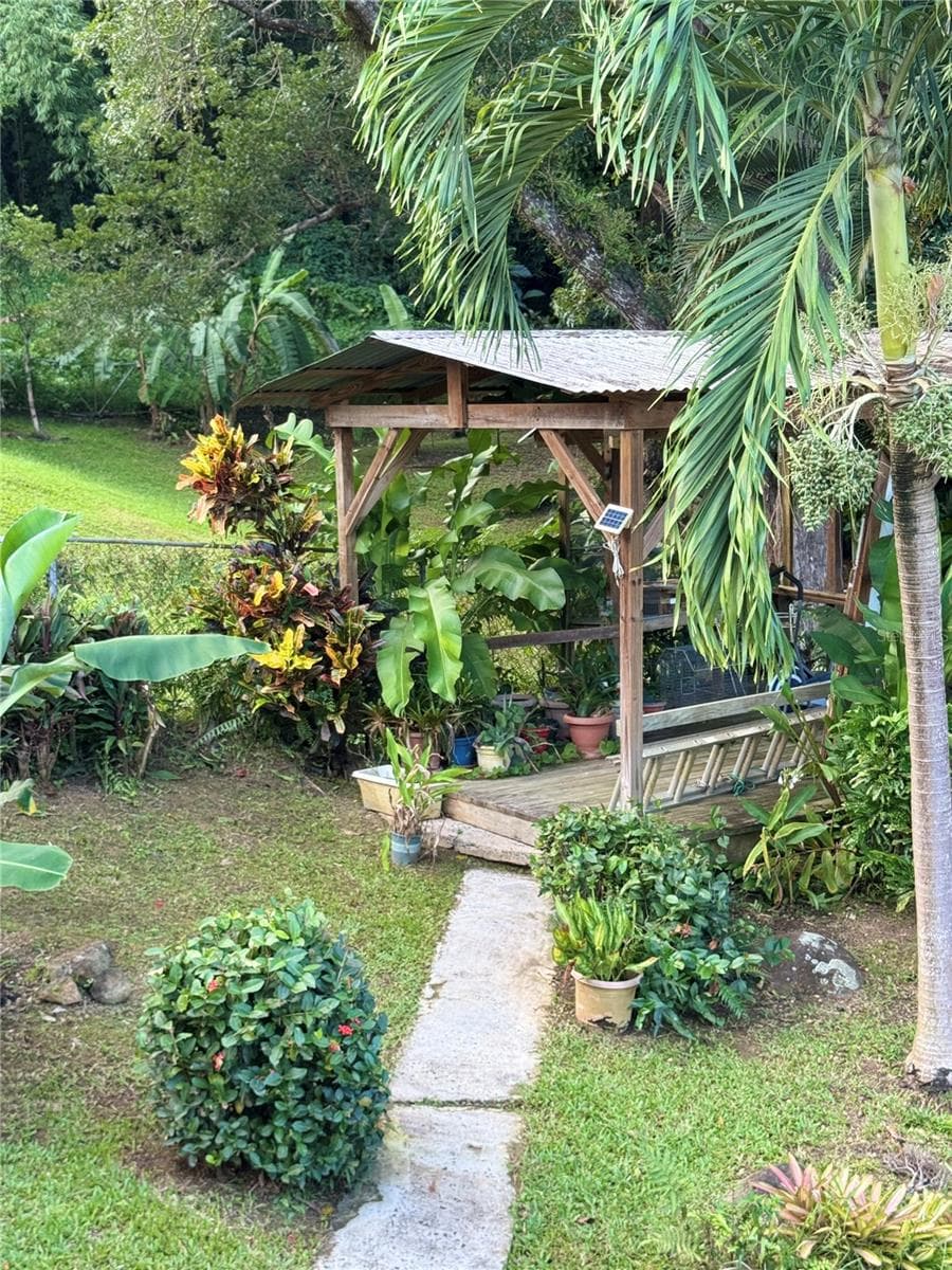 17 G23 COLINAS DEL YUNQUE — photo 14 of 17