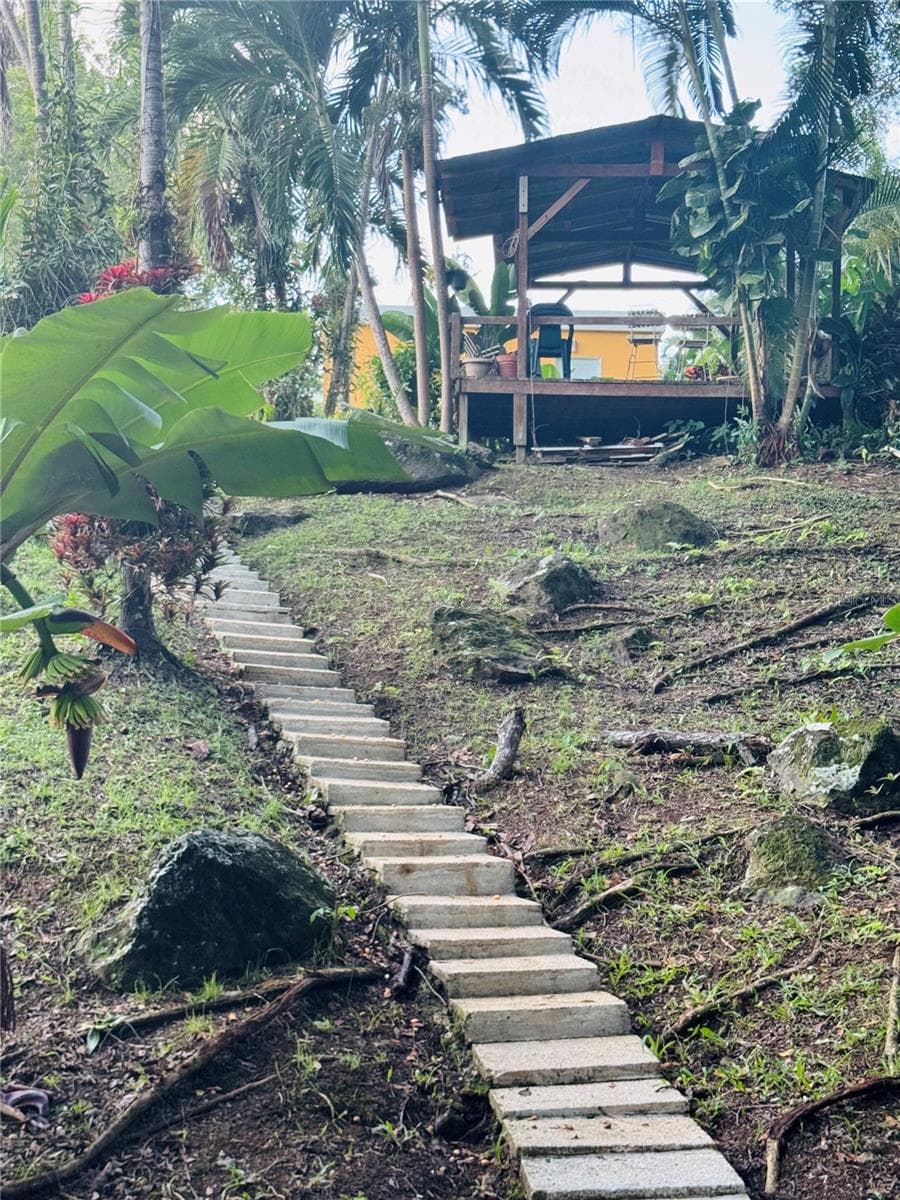 17 G23 COLINAS DEL YUNQUE — photo 13 of 17