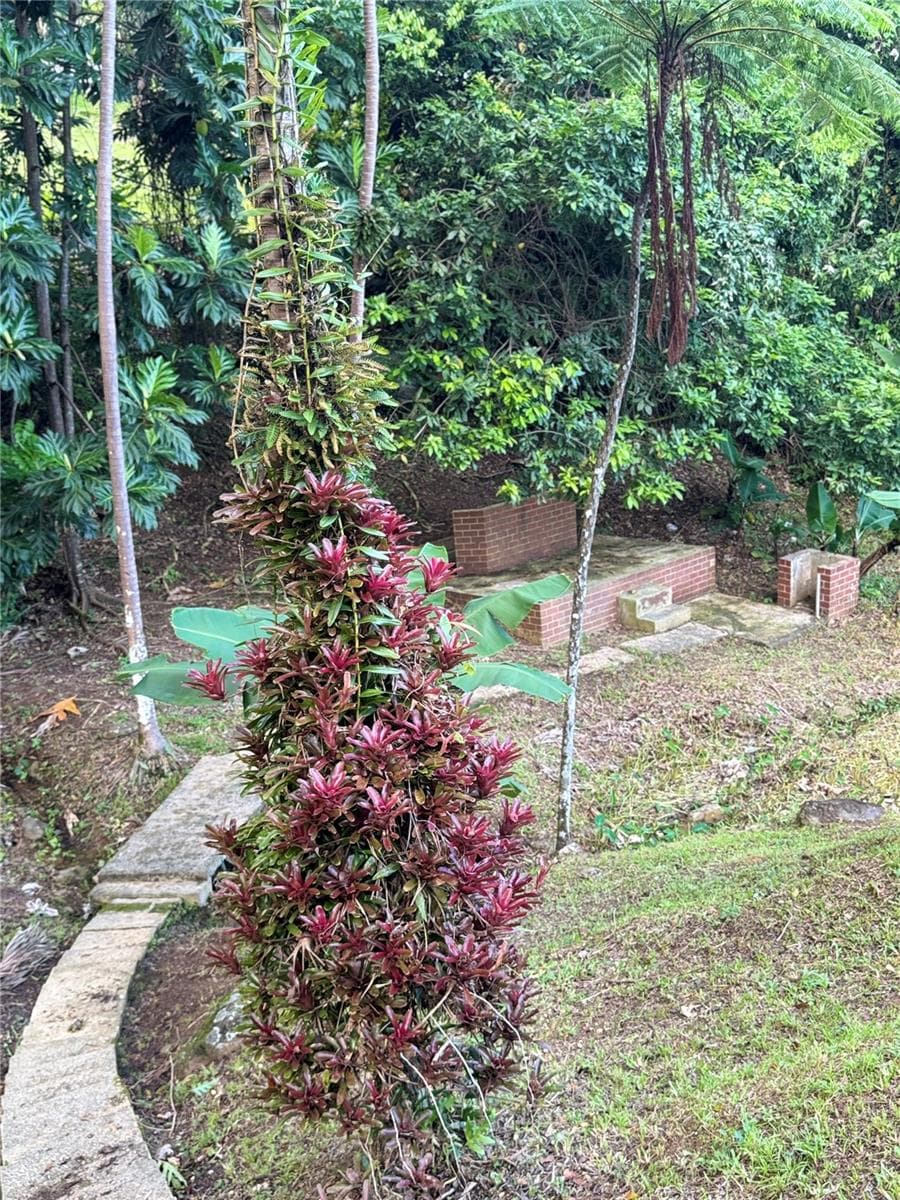 17 G23 COLINAS DEL YUNQUE — photo 10 of 17