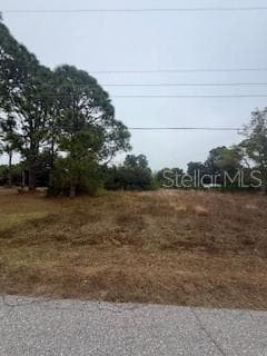 LOTS 17 & 18 HERNANDO ROAD — photo 29 of 32