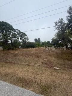LOTS 17 & 18 HERNANDO ROAD — photo 30 of 32
