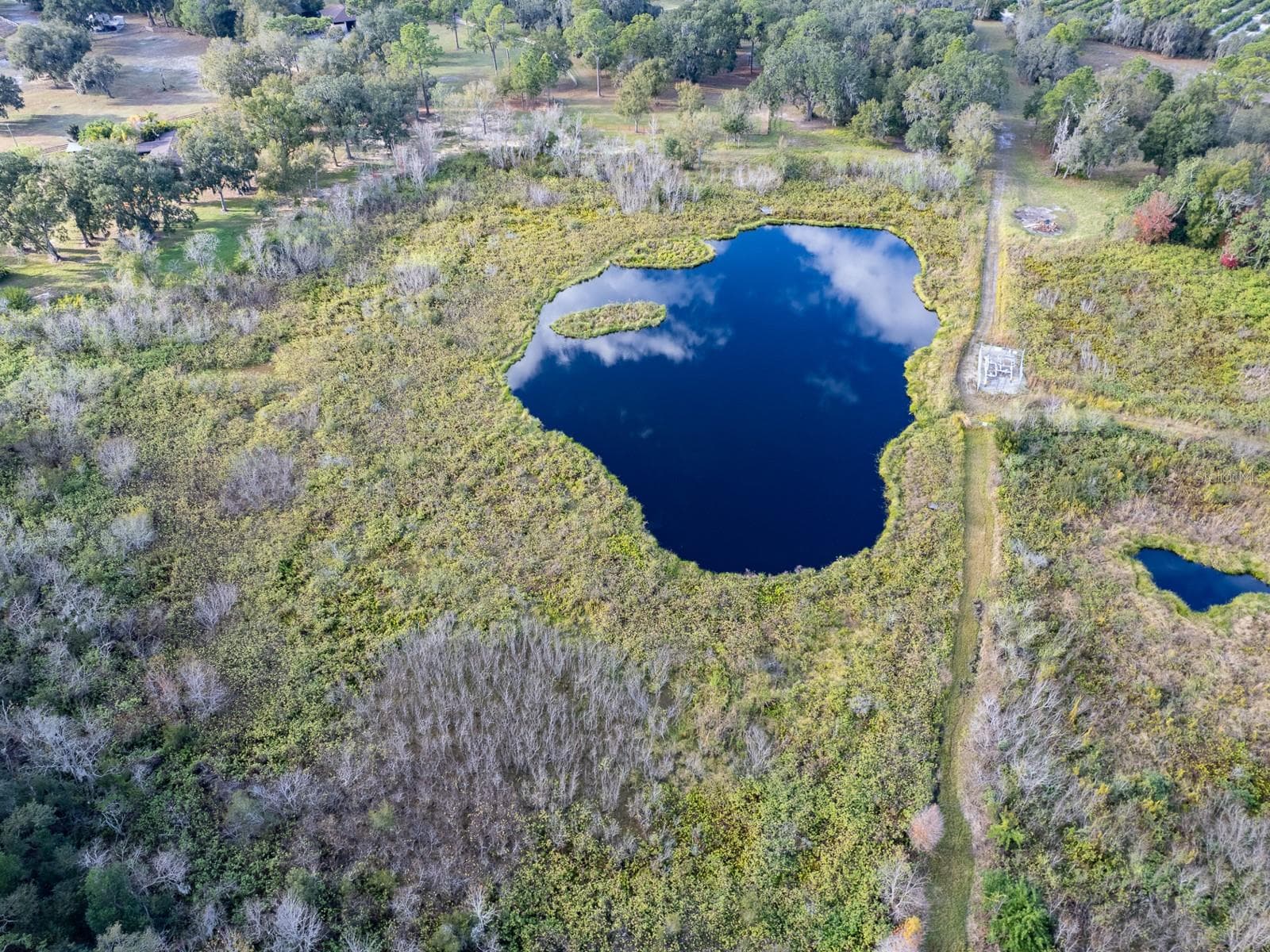 4305 OLD BARTOW EAGLE LAKE ROAD — photo 59 of 66