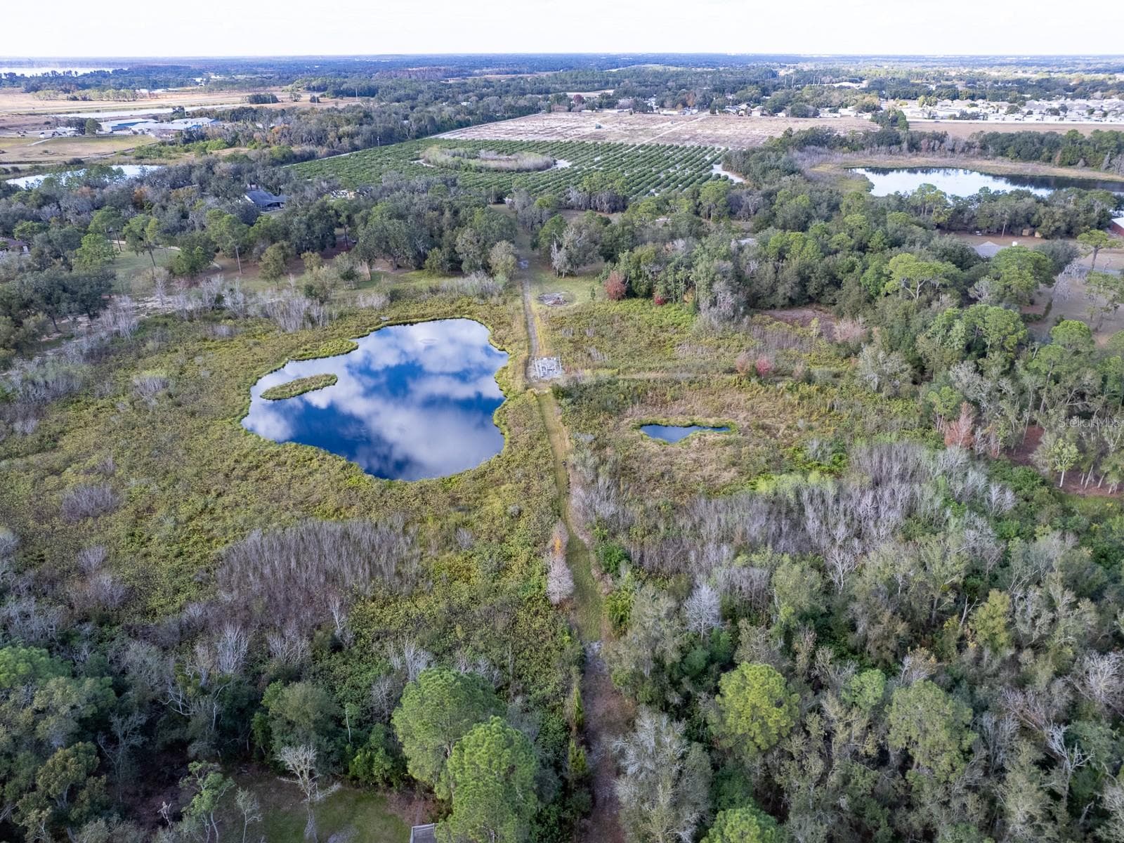 4305 OLD BARTOW EAGLE LAKE ROAD — photo 56 of 66