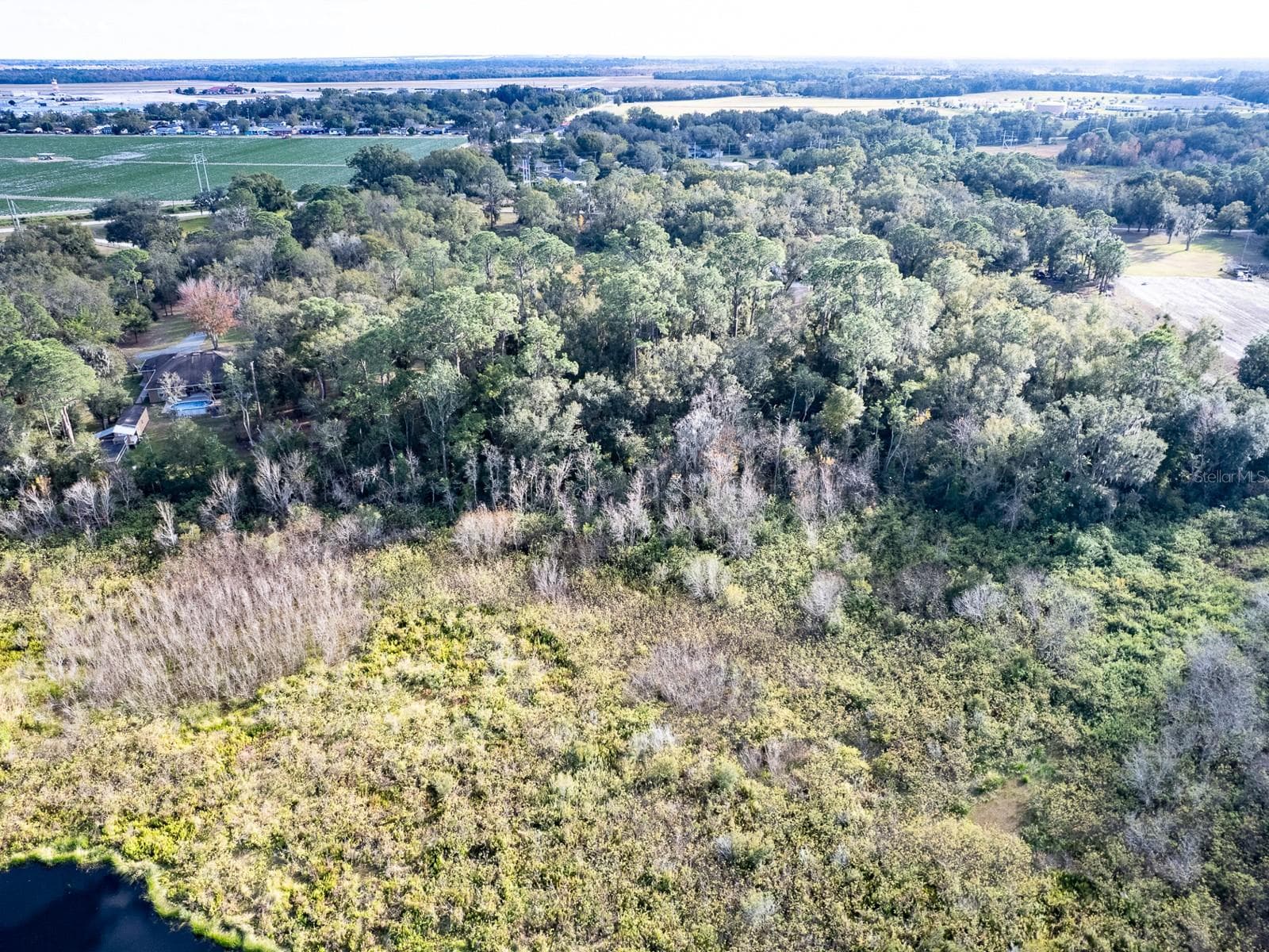 4305 OLD BARTOW EAGLE LAKE ROAD — photo 62 of 66