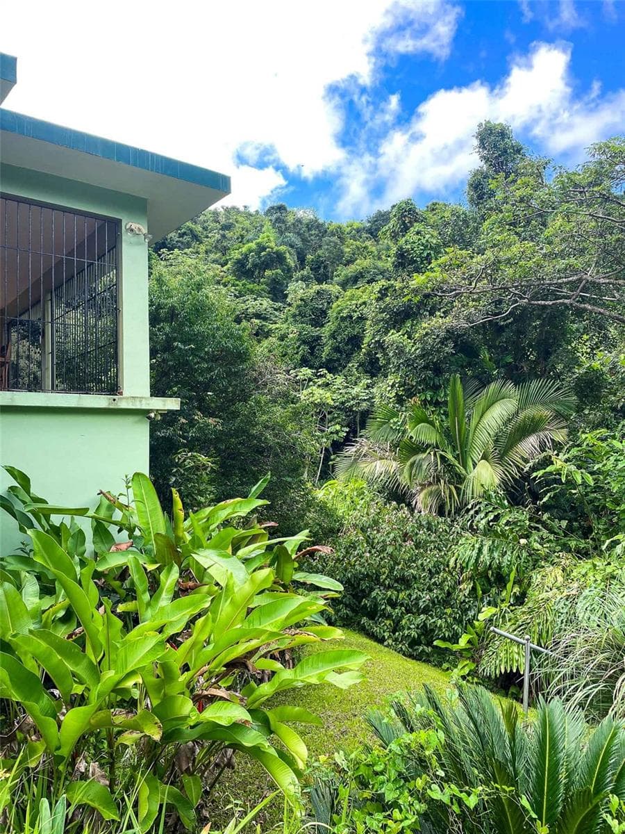 38 COLINAS DE CUBUY — photo 7 of 23