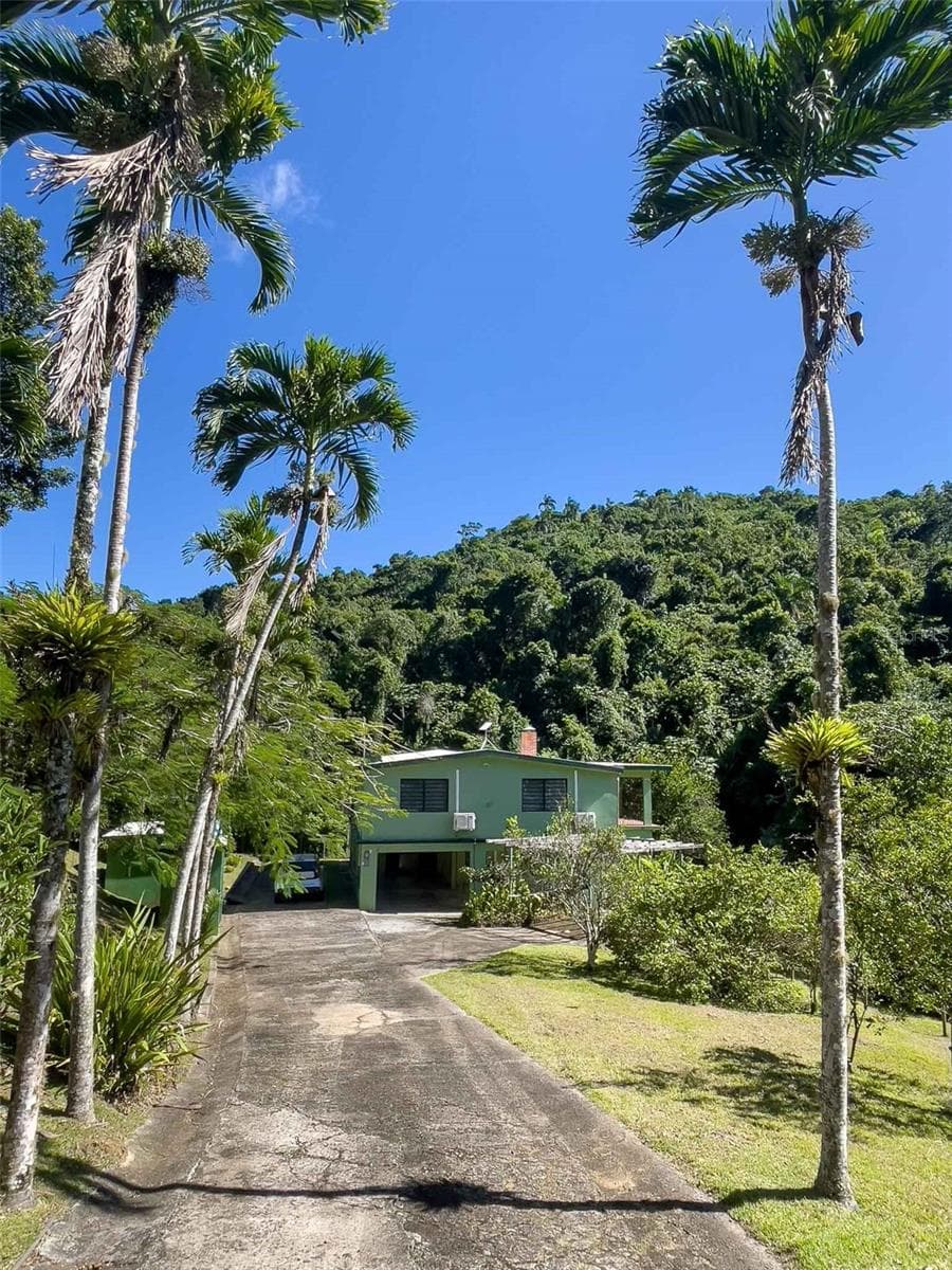 38 COLINAS DE CUBUY — photo 2 of 23