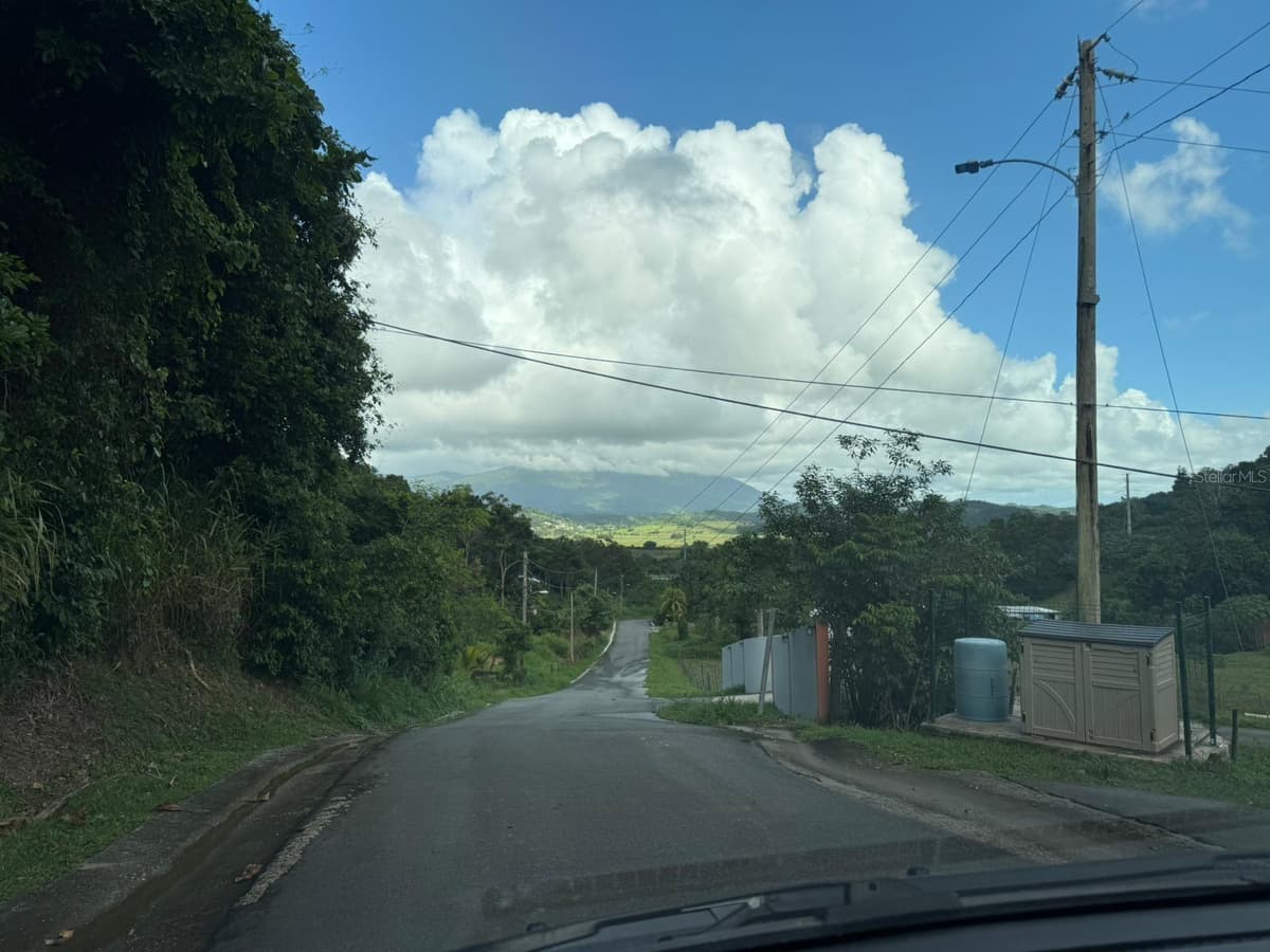 Carr 925 KM 4.9 BO. JUNQUITO — photo 14 of 15