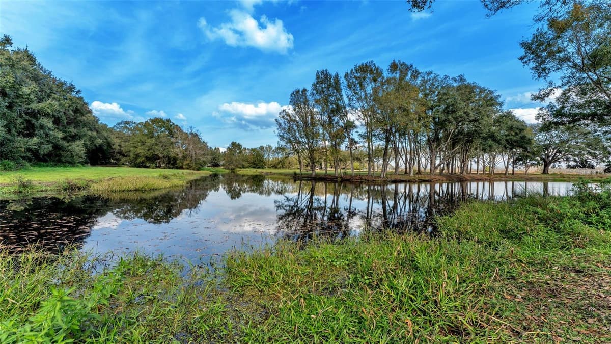 13 BOGEY DRIVE — photo 99 of 100