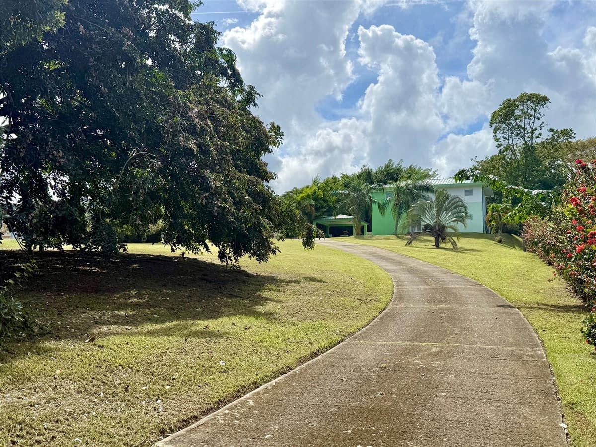 5 BATEY OESTE — photo 16 of 45