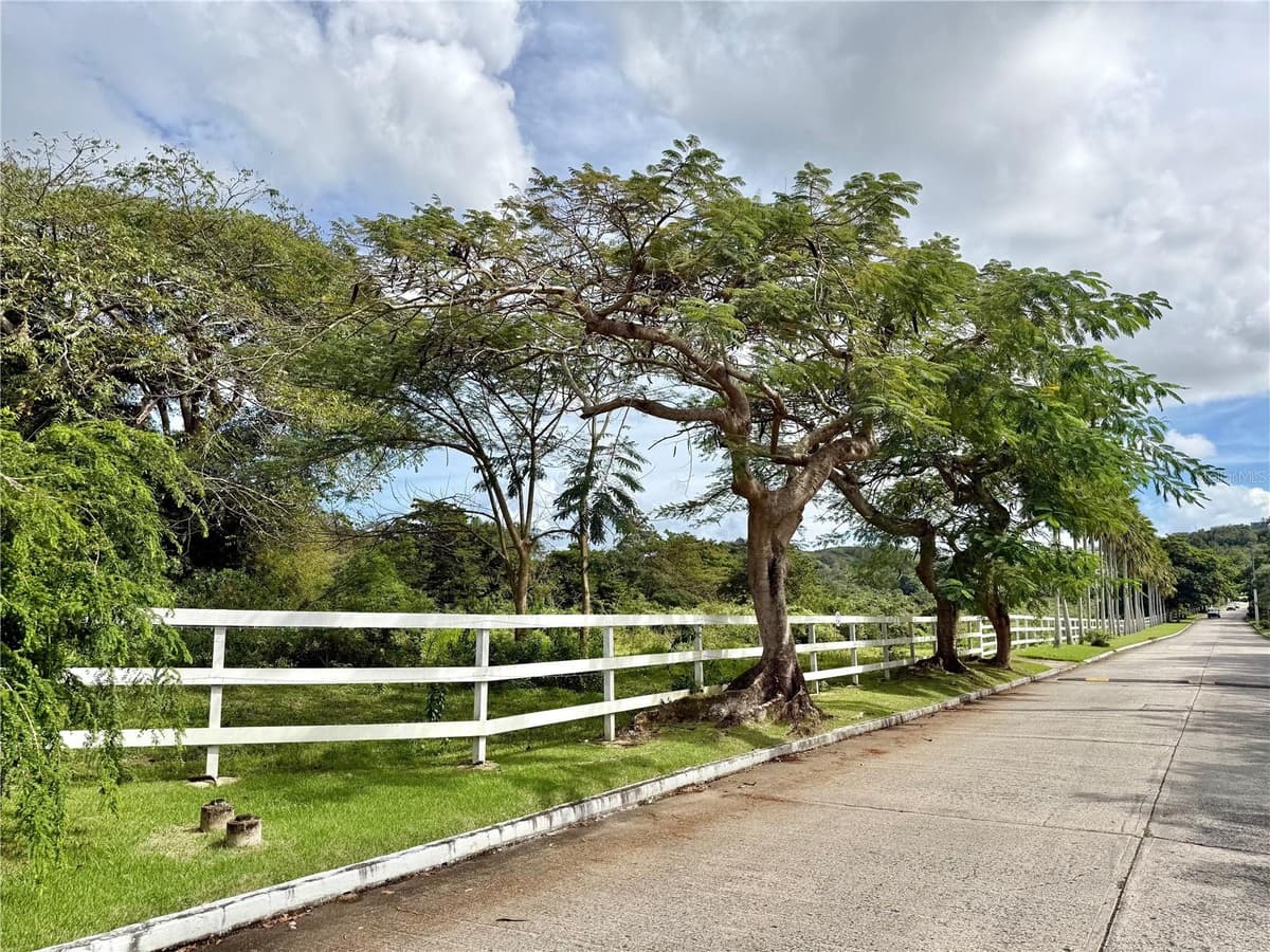5 BATEY OESTE — photo 43 of 45