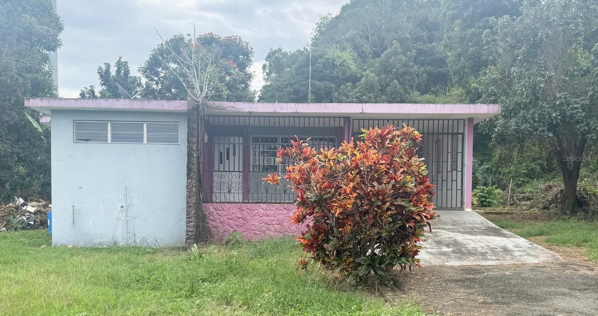 Carr 2 BO. TRINIDAD KM. 56.2 — photo 1 of 1