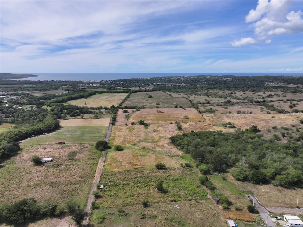 BOQUERON WARD SR 103 KM 11.9 NEAR BETANCES COMMUNITY — photo 4 of 23