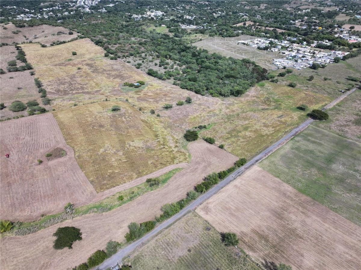 BOQUERON WARD SR 103 KM 11.9 NEAR BETANCES COMMUNITY — photo 2 of 23