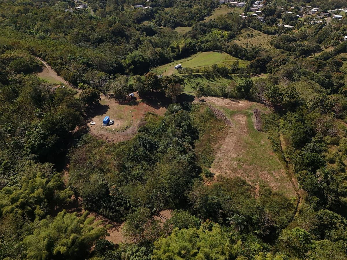 CARR 4414 BO GUAYABO — photo 6 of 18