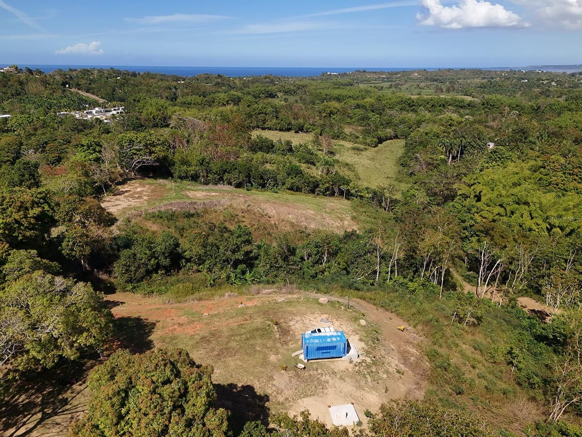 CARR 4414 BO GUAYABO — photo 14 of 18