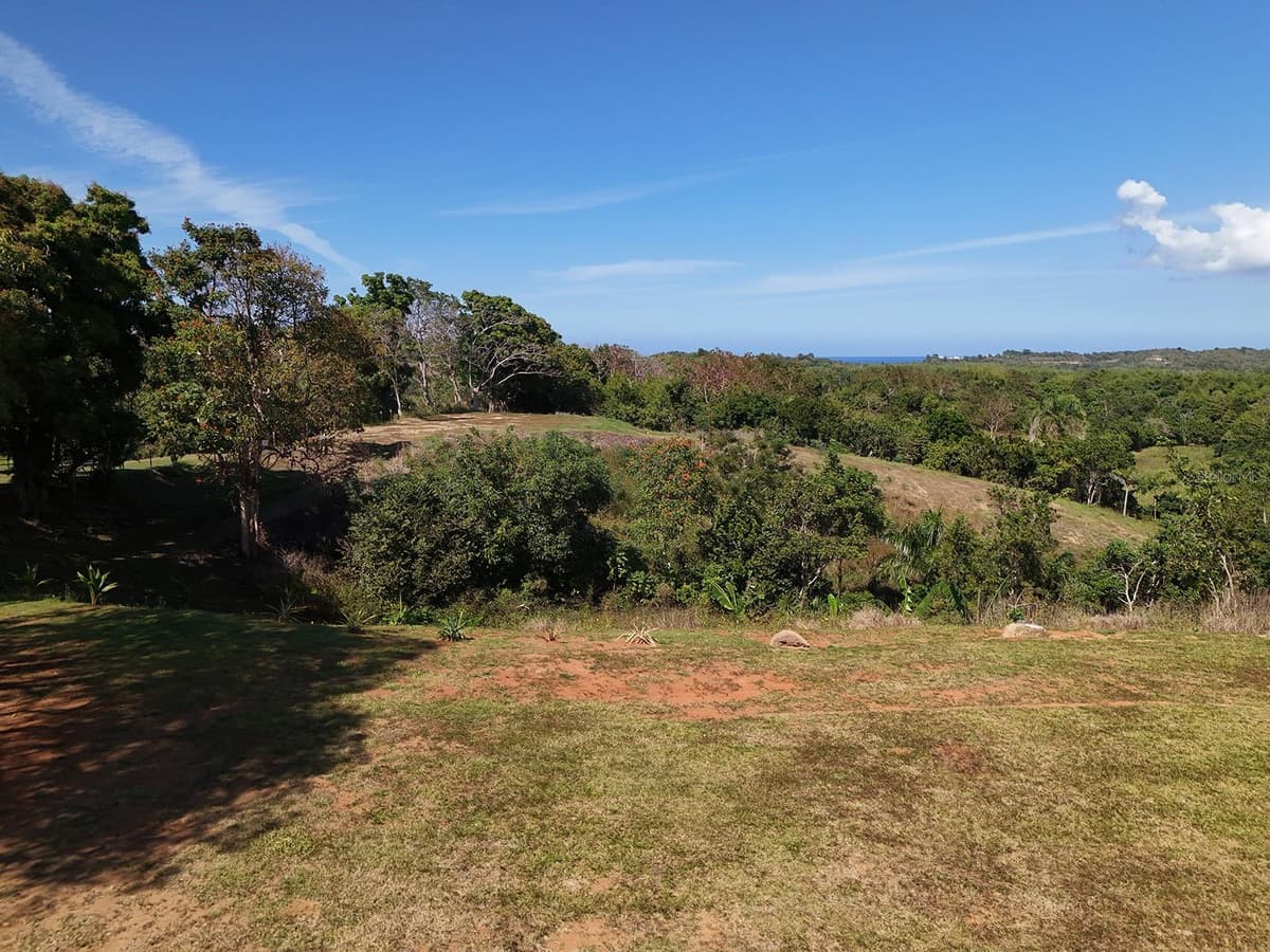 CARR 4414 BO GUAYABO — photo 16 of 18