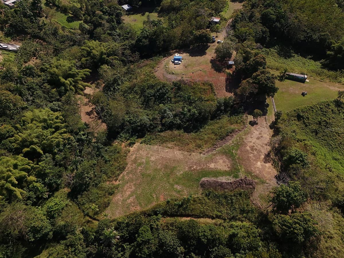 CARR 4414 BO GUAYABO — photo 13 of 18
