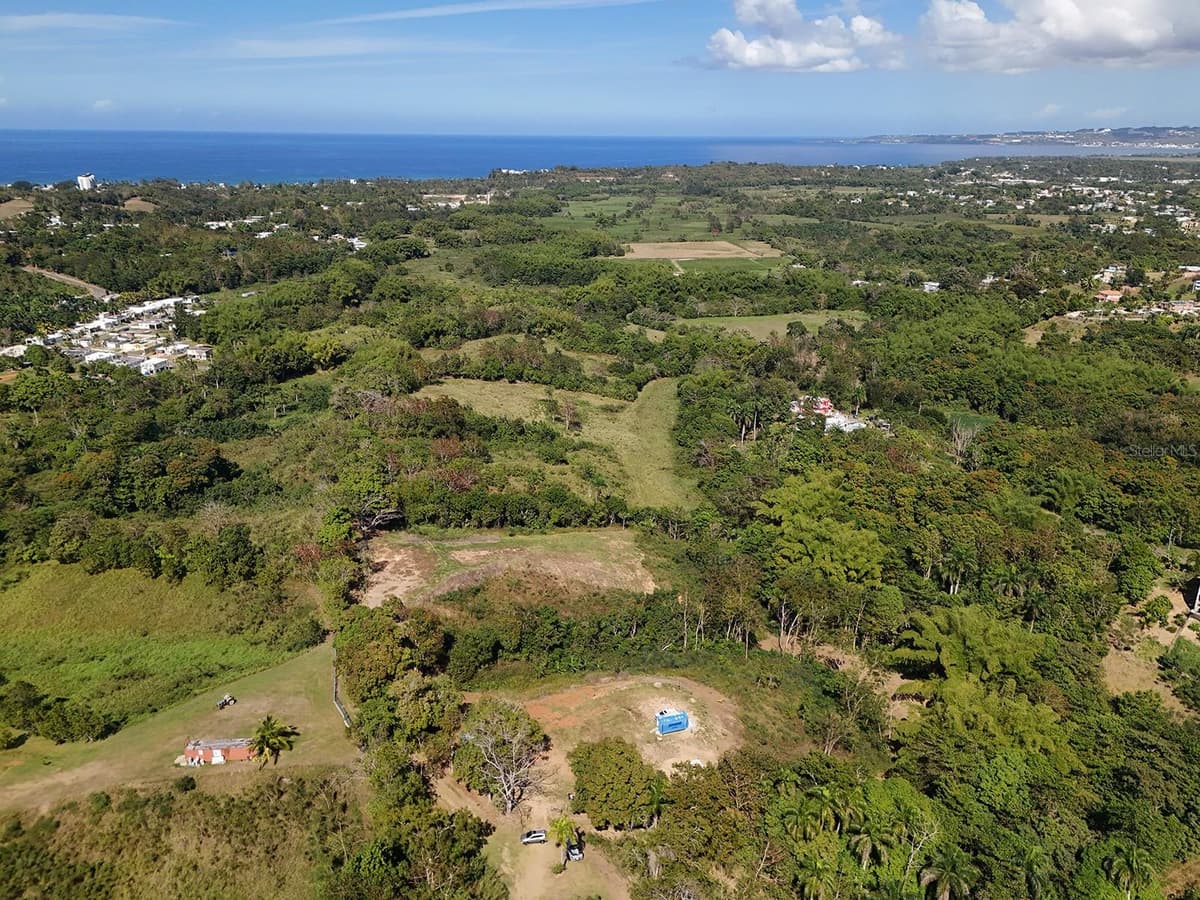 CARR 4414 BO GUAYABO — photo 1 of 18