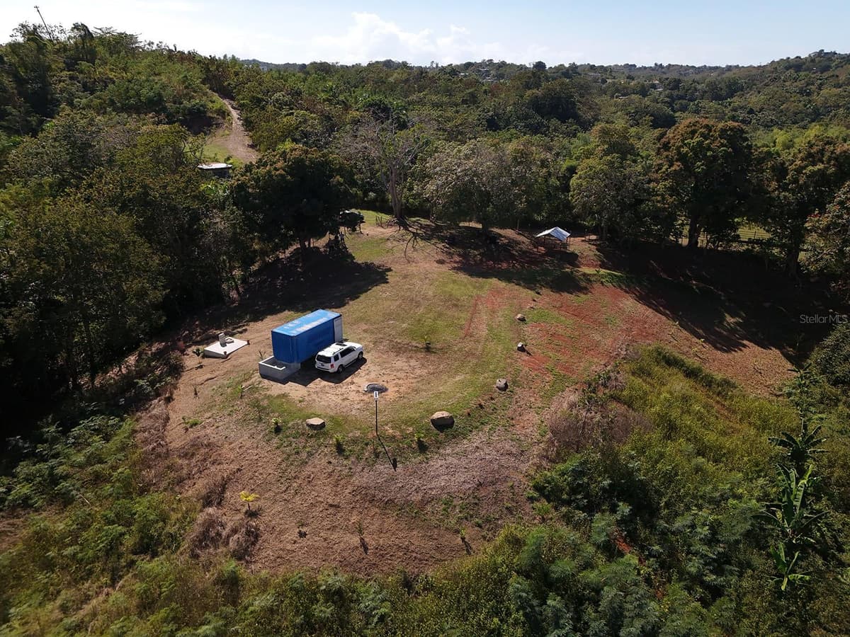 CARR 4414 BO GUAYABO — photo 4 of 18