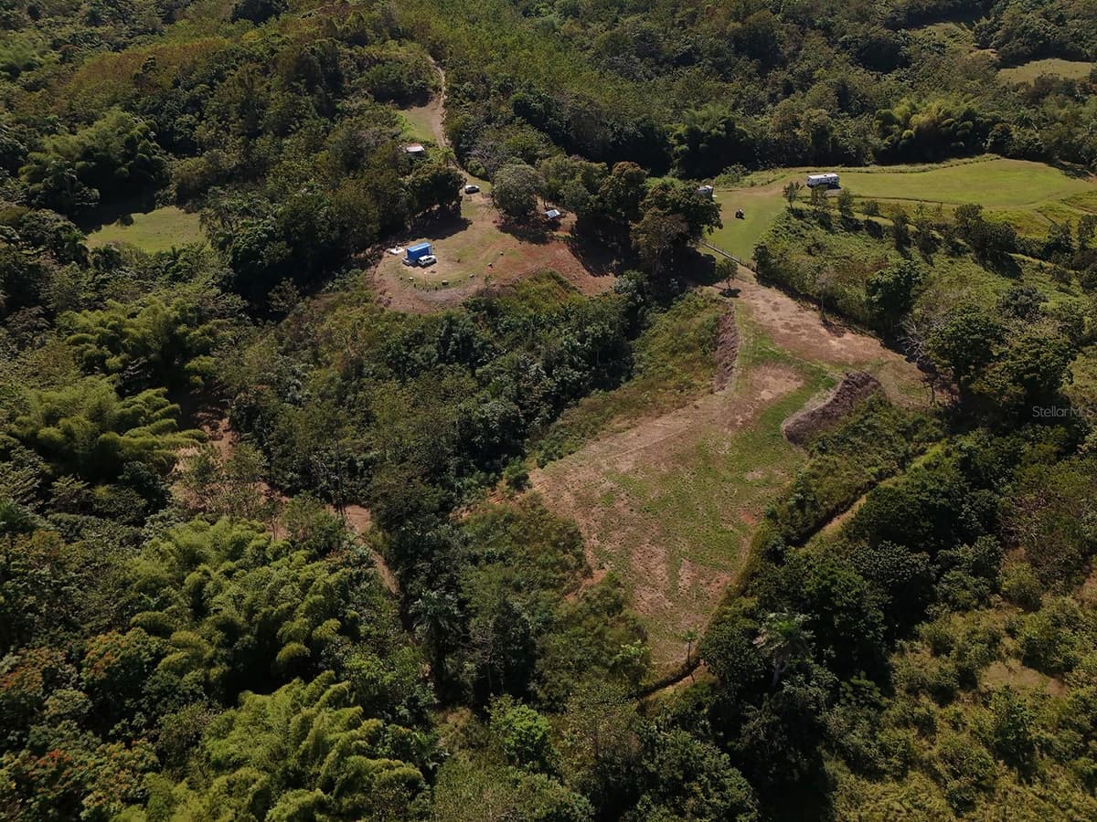 CARR 4414 BO GUAYABO — photo 11 of 18