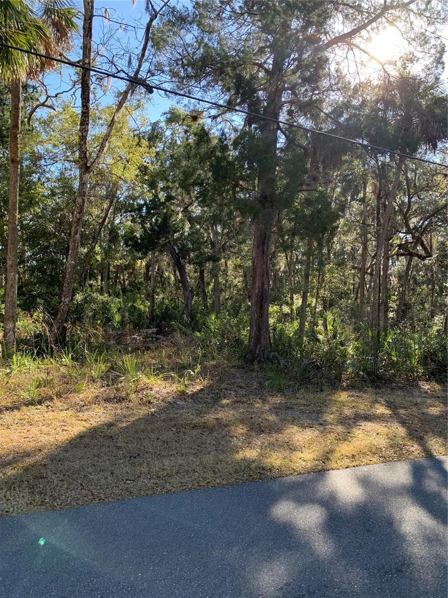 12148 STANDISH DRIVE — photo 5 of 10