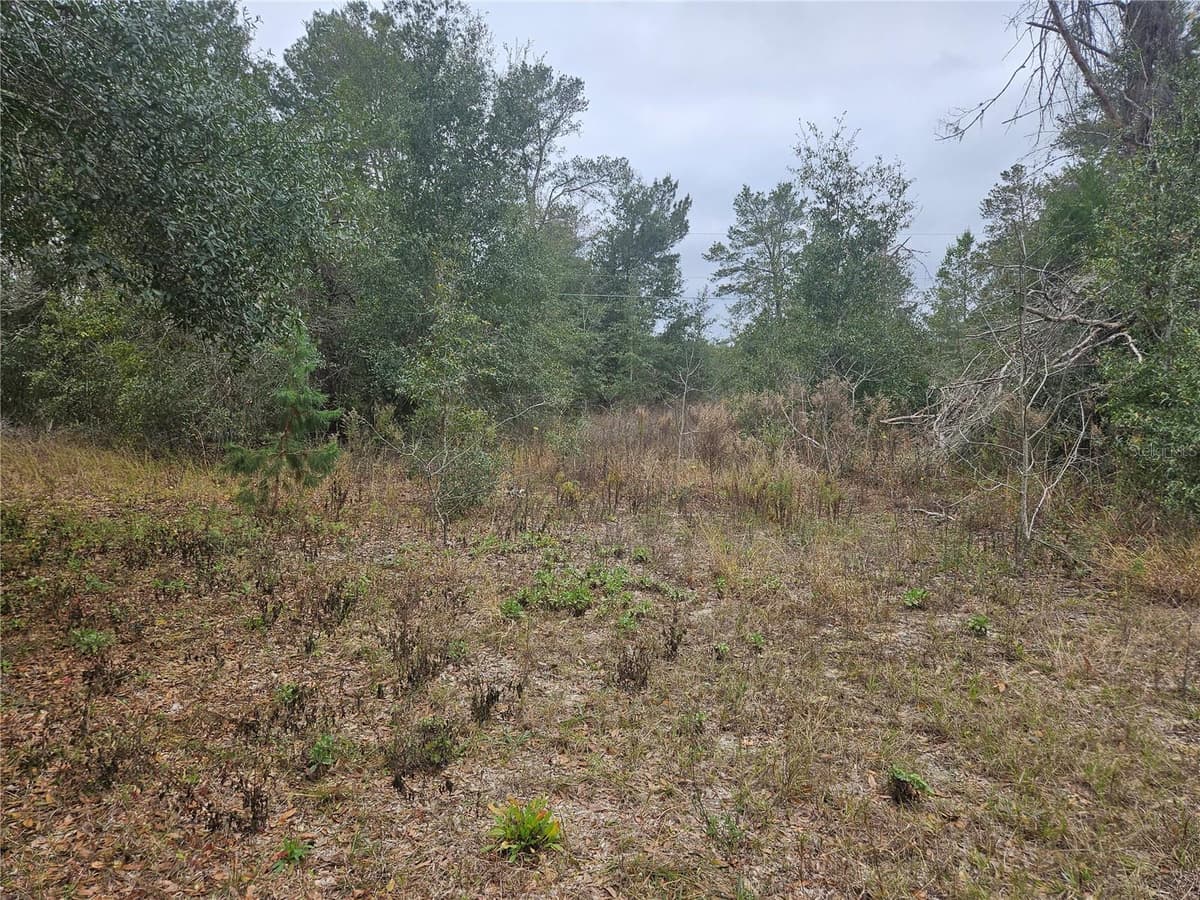 SE HIGHWAY 42 — photo 2 of 6
