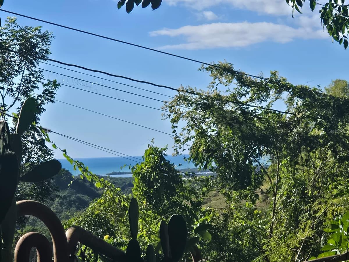 BO. LLANOS TUNA, SECTOR LAS MAGAS — photo 8 of 8