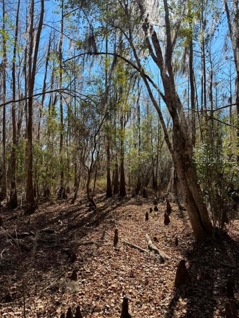 155TH WAY — photo 27 of 29