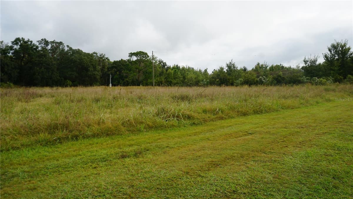 DOUGLAS ROAD — photo 18 of 20