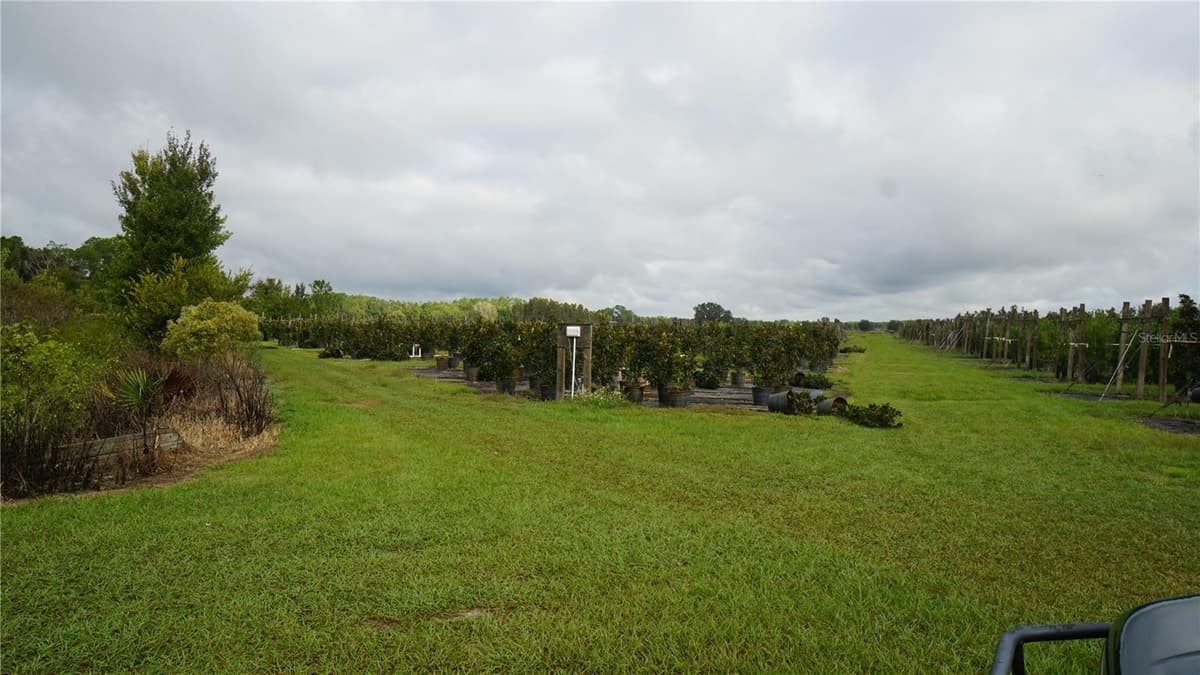 DOUGLAS ROAD — photo 11 of 20